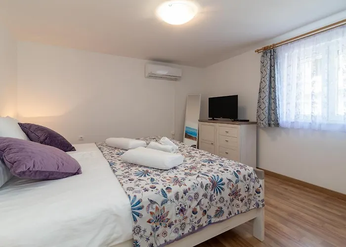 Apartament Novi